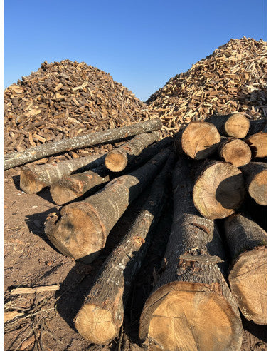 LEÑA DE ENCINA - PALET 2m3